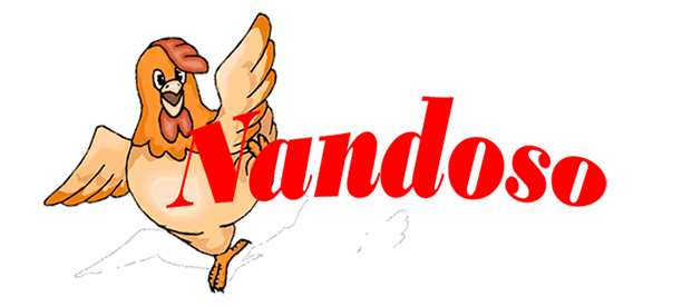 Nandoso Logo